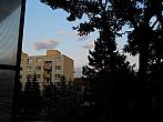Borovina