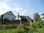 Třibřichy