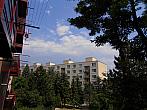 Borovina