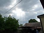 Třibřichy