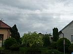 Třibřichy