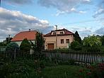 Třibřichy