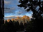 Borovina