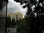 Borovina