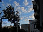 Borovina