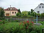 Třibřichy