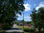 Borovina