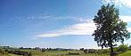 Todně