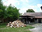 Třibřichy