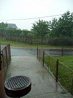 Třibřichy