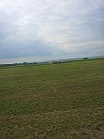 Věrovany