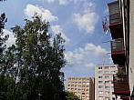 Borovina