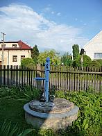 Třibřichy