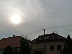 Třibřichy