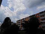 Borovina