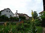 Třibřichy