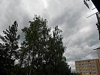 Borovina