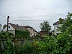 Třibřichy