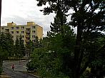 Borovina