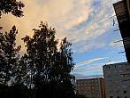 Borovina