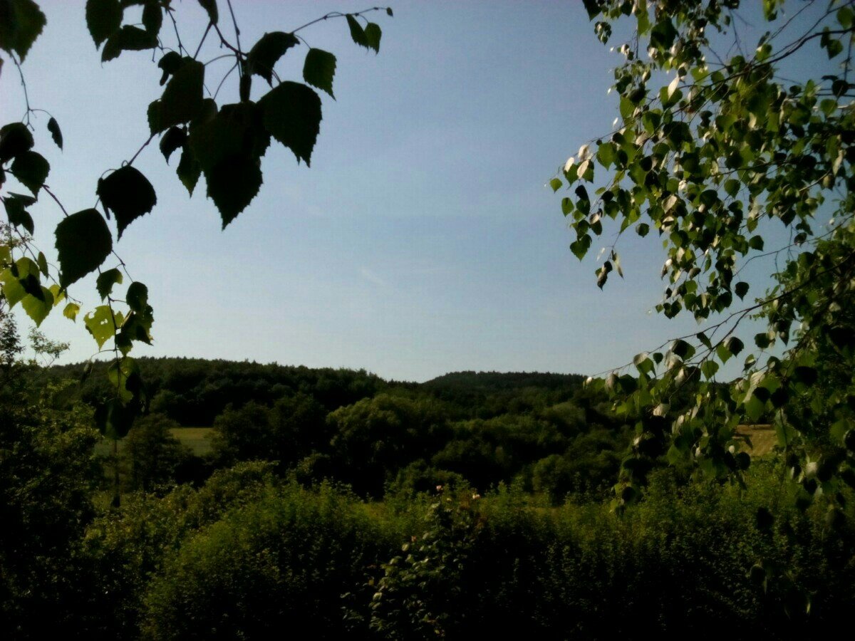 Habrovany