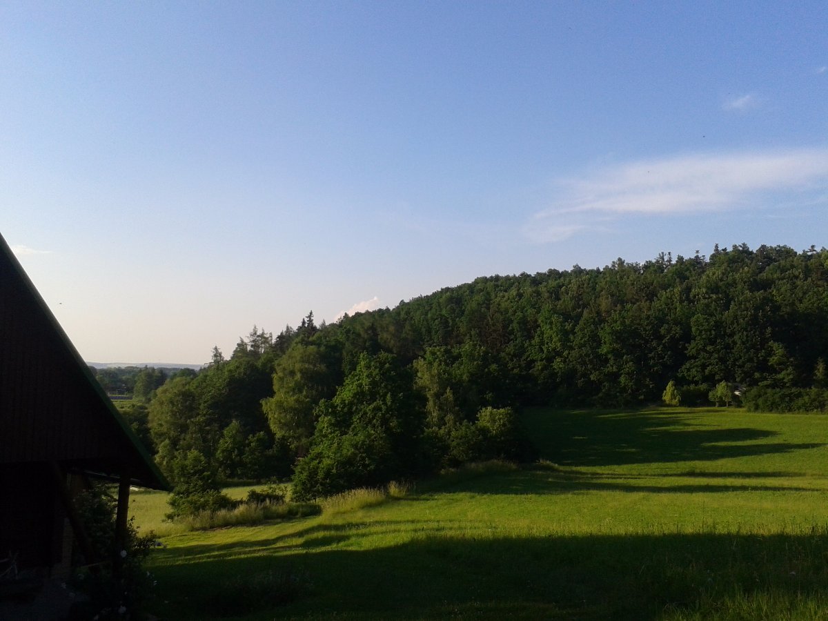 Vidov