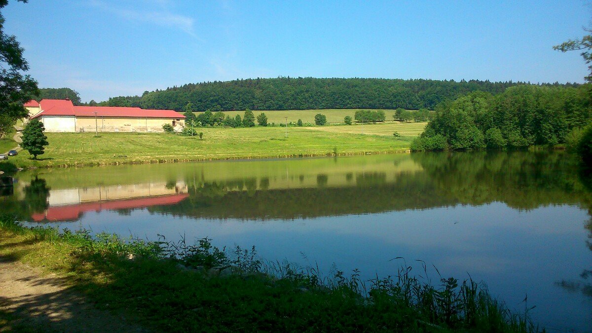 Petrovice