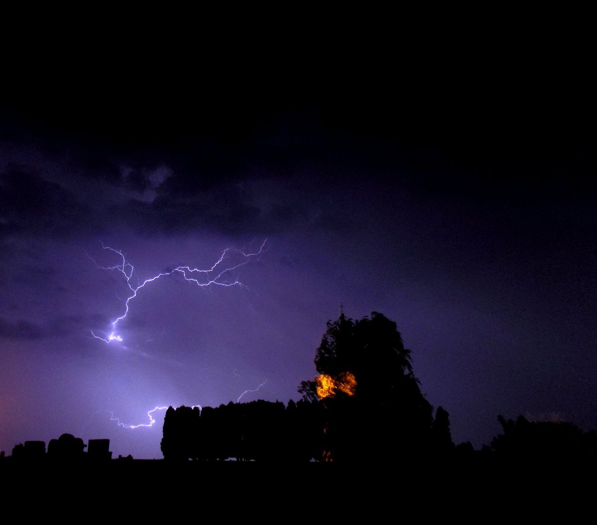 Kvasice