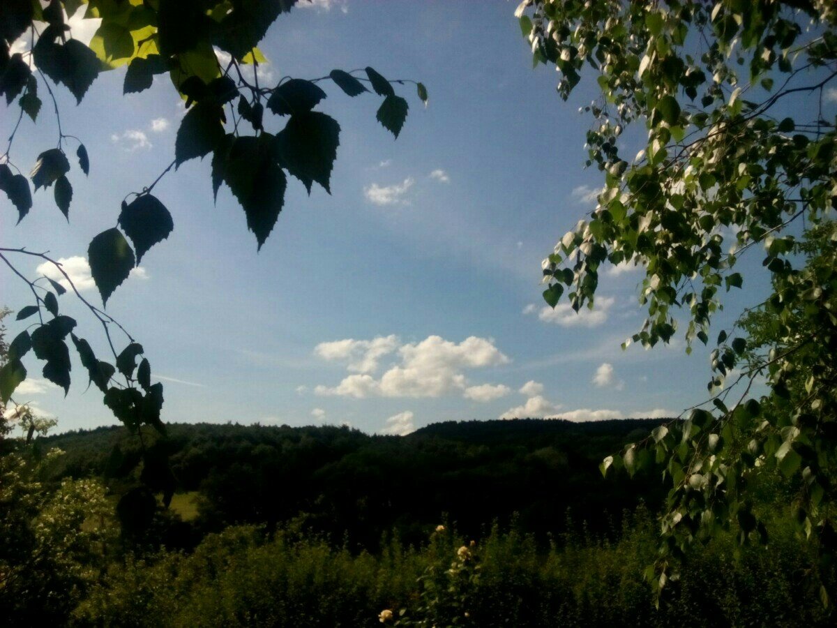 Habrovany