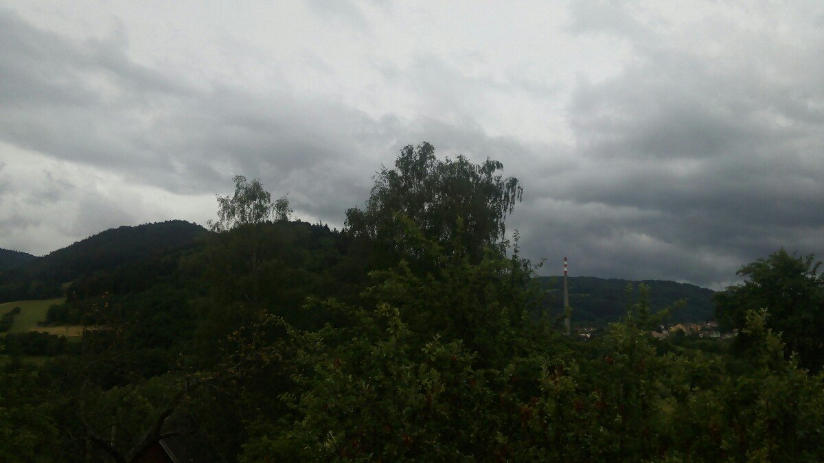 Nedvědice