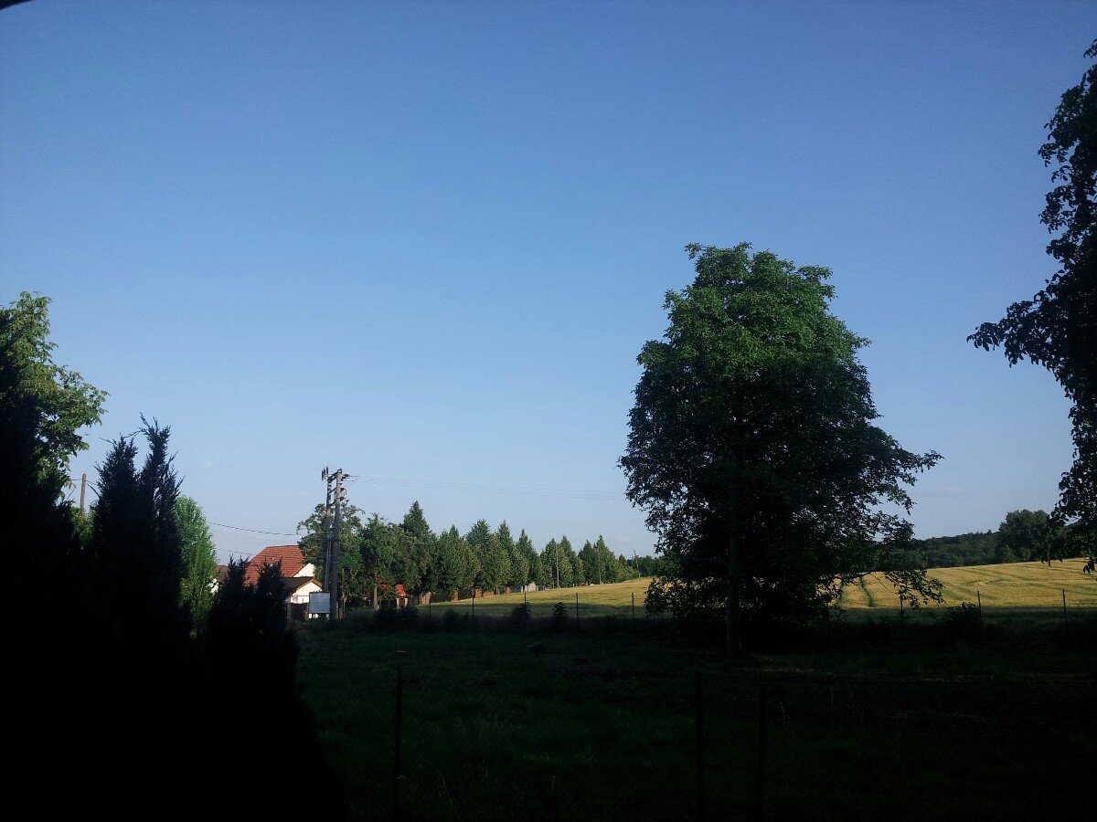 Bořanovice