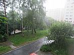 Borovina