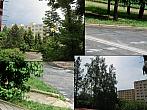 Borovina