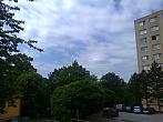 Borovina