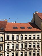 Praha