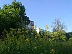 Borovina