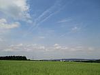 Borovina