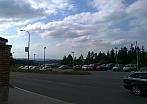 Borovina