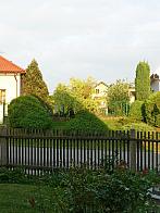 Třibřichy