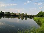 Borovina