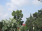 Neratovice