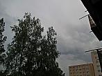 Borovina