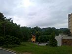 Borovina