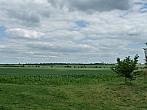 Třibřichy