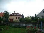 Třibřichy