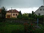 Třibřichy