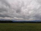 Vidov
