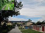 Borovina