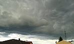Ostarva