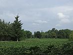Neratovice